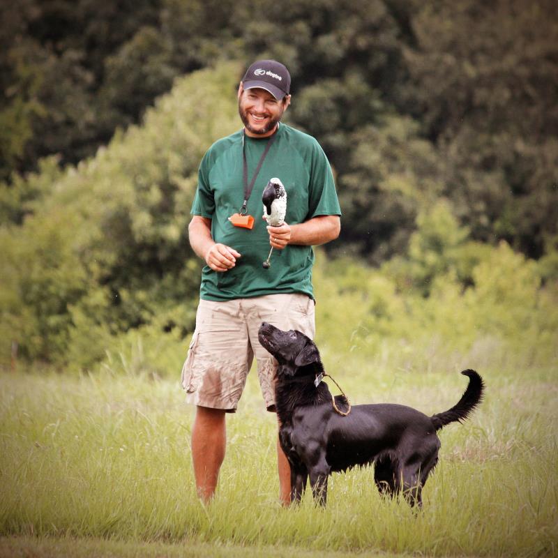 duck dog training